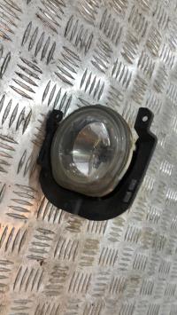 Fendinebbia sinistro (luce)