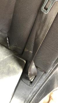 Cinturón de seguridad trasero derecho