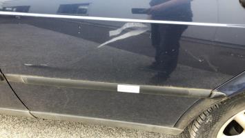 Baguette de porte arriere gauche 