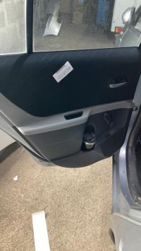 Panneau de porte arriere gauche