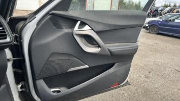 Panel de puerta delantera derecha