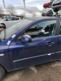 Porte avant gauche