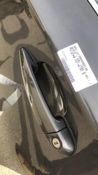 Poignee porte avant gauche