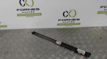 Verin de coffre