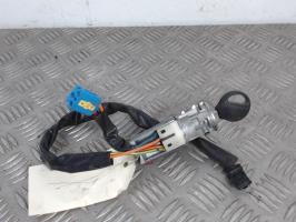 Immobilizzatore