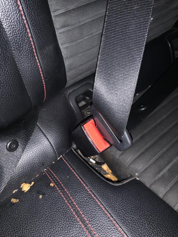 Attache ceinture arriere gauche