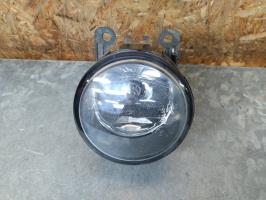 Fendinebbia sinistro (luce)