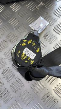 Cintura di sicurezza posteriore destra