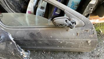 Puerta delantera derecha
