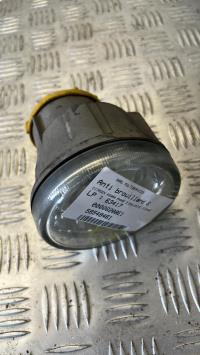 Fendinebbia sinistro (luce)