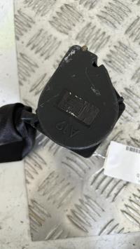 Ceinture arriere droit