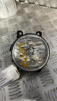 Fendinebbia sinistro (luce)