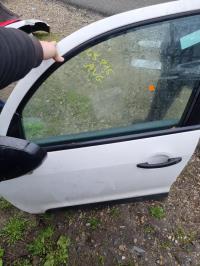 Porte avant gauche