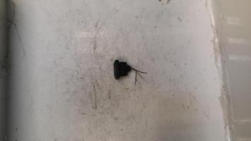 Interrupteur de leve vitre avant droit