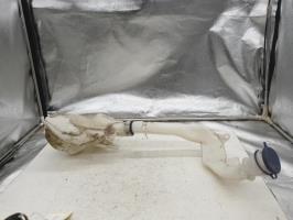 Vase de lave glace