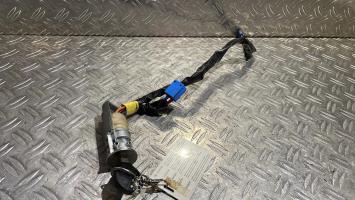 Immobilizzatore