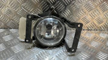 Fendinebbia sinistro (luce)