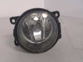 Fendinebbia sinistro (luce)
