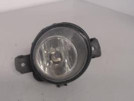 Fendinebbia sinistro (luce)