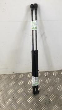 Verin de coffre