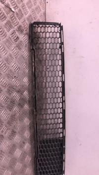 Grille de pare choc
