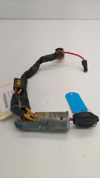 Immobilizzatore