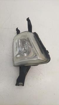 Fendinebbia destro (luci)