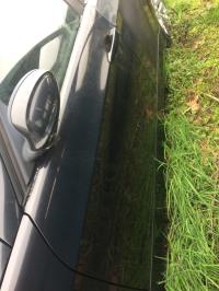 Porte avant gauche