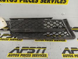 Grille de pare choc