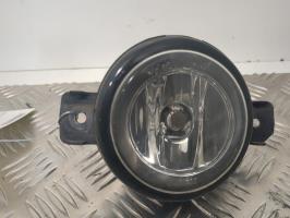 Fendinebbia sinistro (luce)
