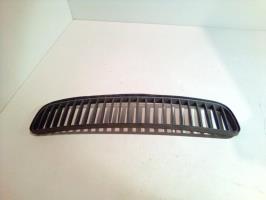 Grille de pare choc