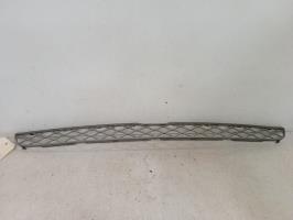 Grille de pare choc