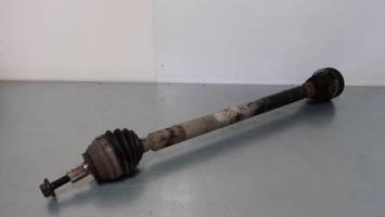 Cardan droit (transmission)