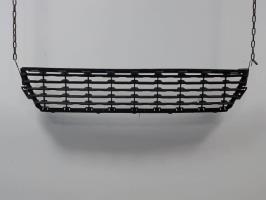 Grille de pare choc