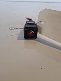 Bouton/Interrupteur