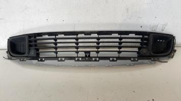 Grille de pare choc