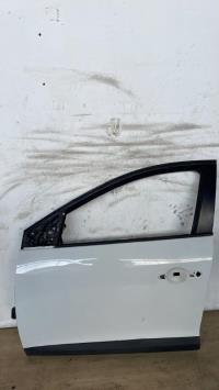 Porte avant gauche