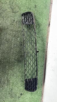 Grille de pare choc