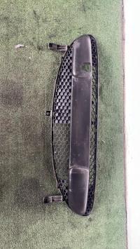 Grille de pare choc