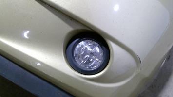 Fendinebbia sinistro (luce)
